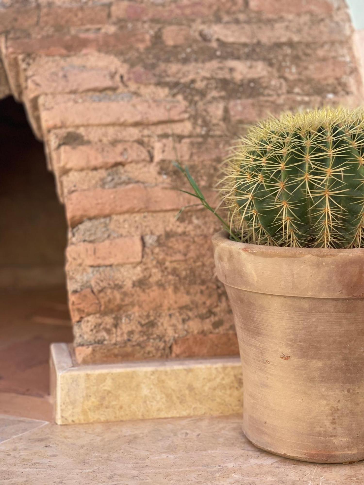 Riad Gasämbre Touareg Marrakesh Exteriör bild