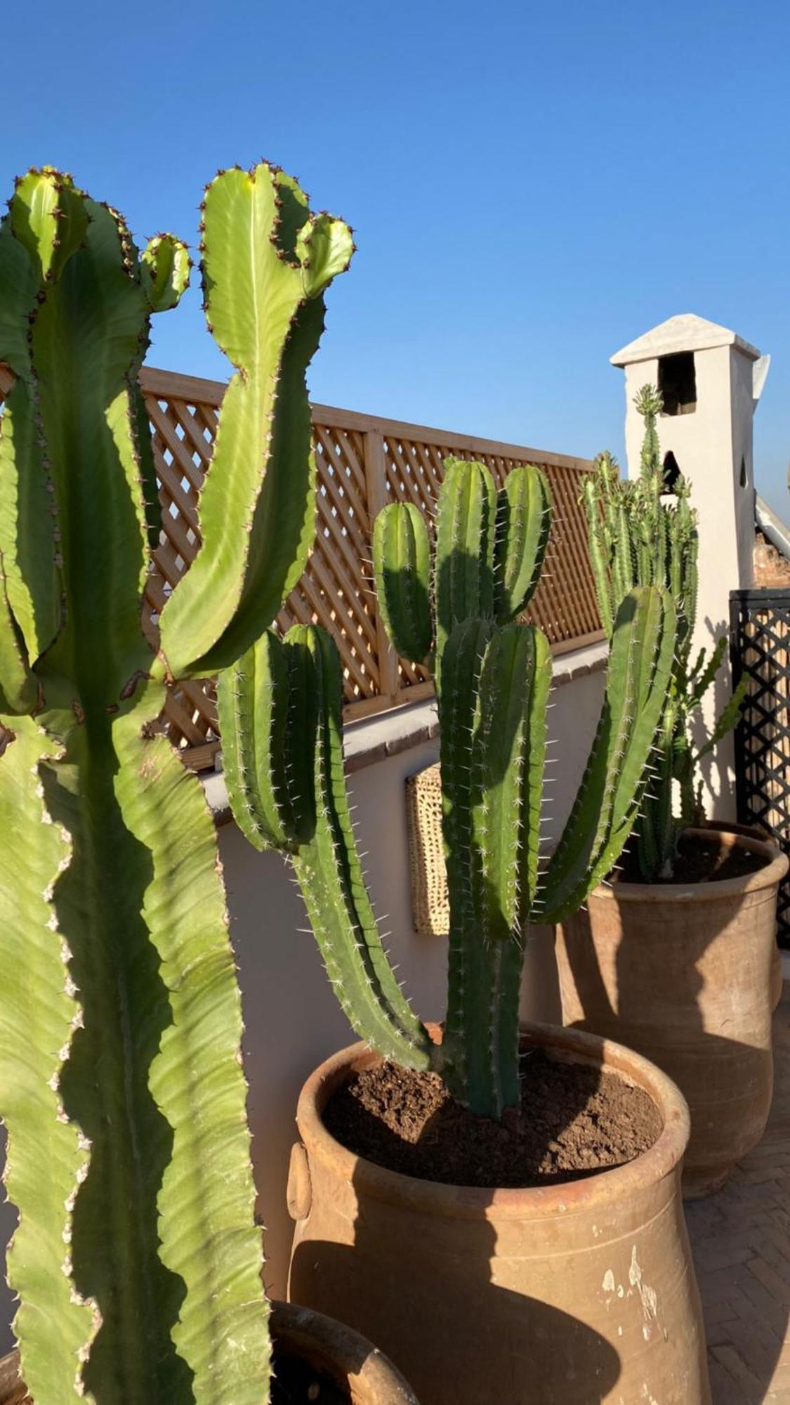 Riad Gasämbre Touareg Marrakesh Exteriör bild